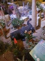 Albums/20200303-Kew Gardens/10